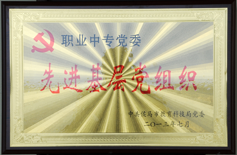 2013年先进基层党组织